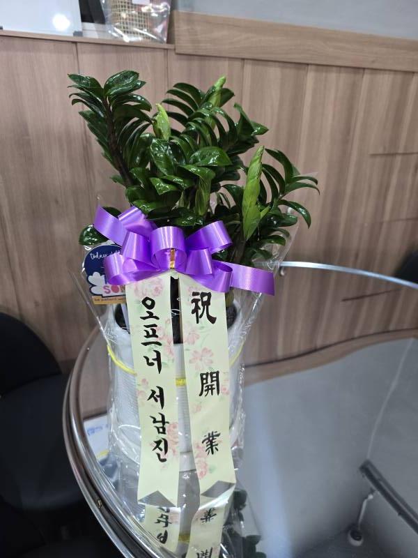 업로드 이미지