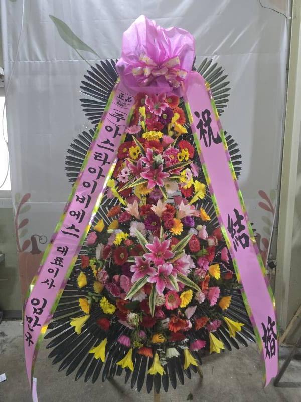 업로드 이미지