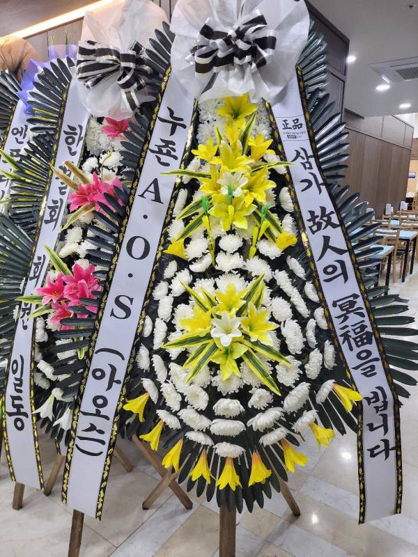 업로드 이미지