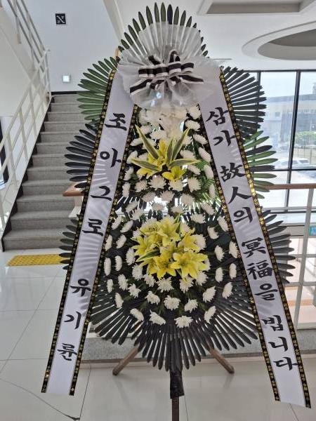 업로드 이미지