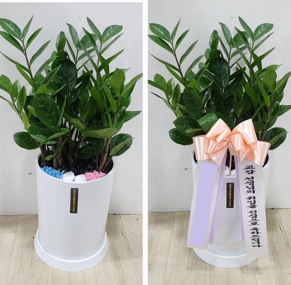 업로드 이미지