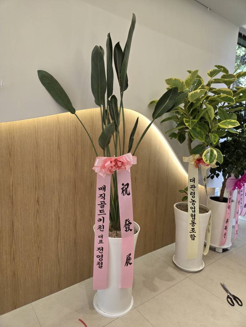 업로드 이미지