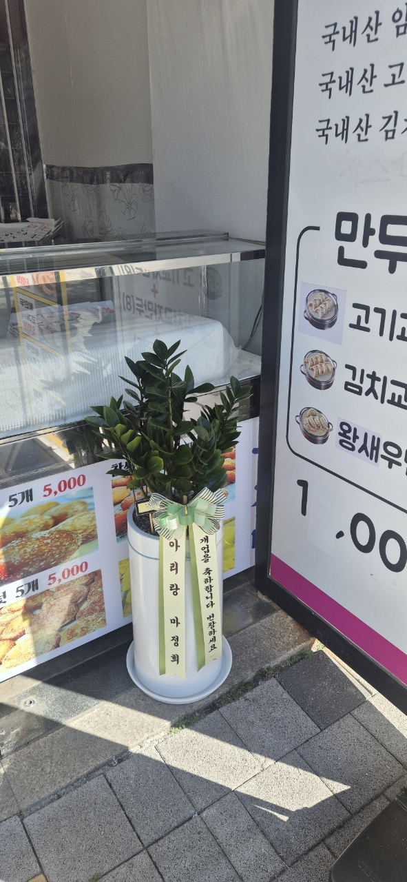 업로드 이미지