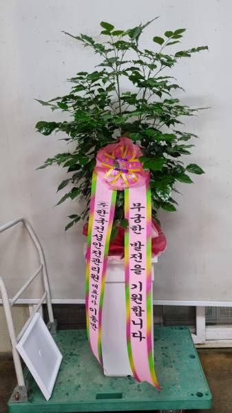 업로드 이미지