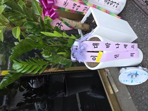 업로드 이미지