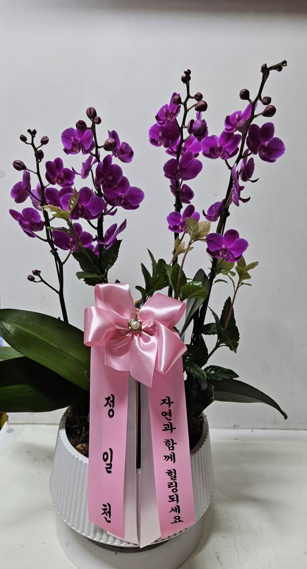 업로드 이미지