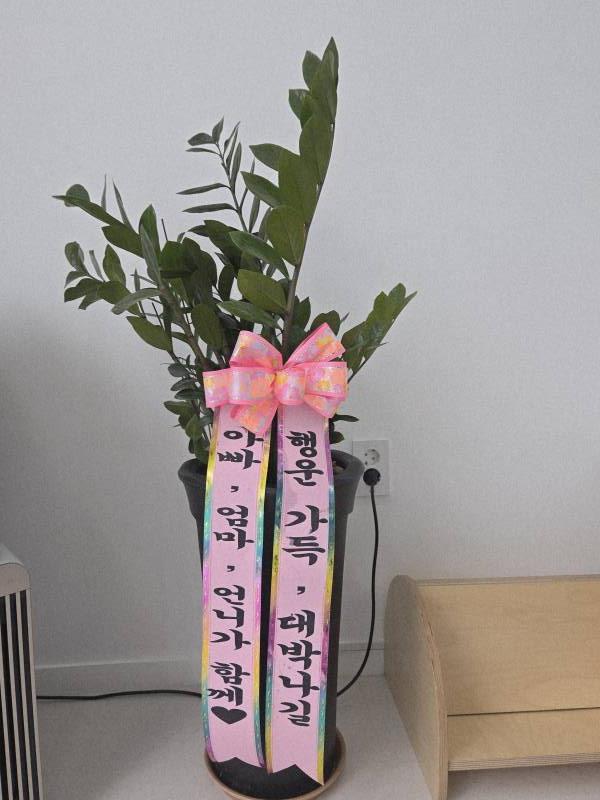 업로드 이미지