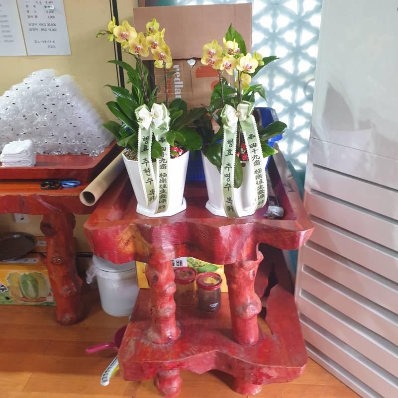 업로드 이미지
