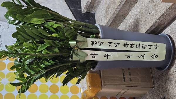 업로드 이미지