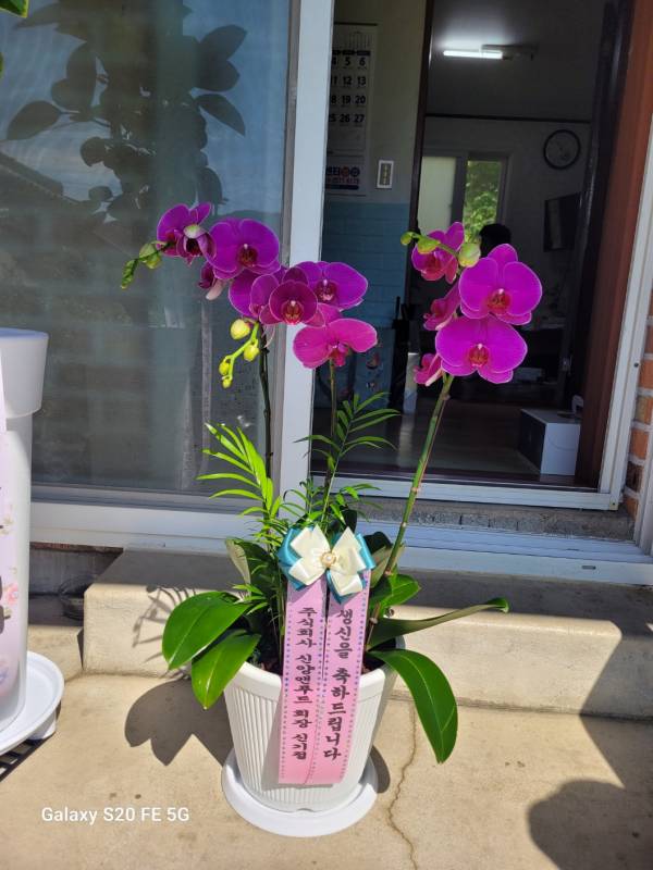 업로드 이미지