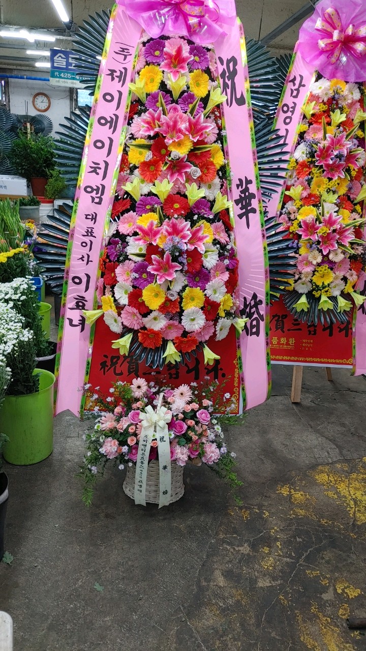 업로드 이미지