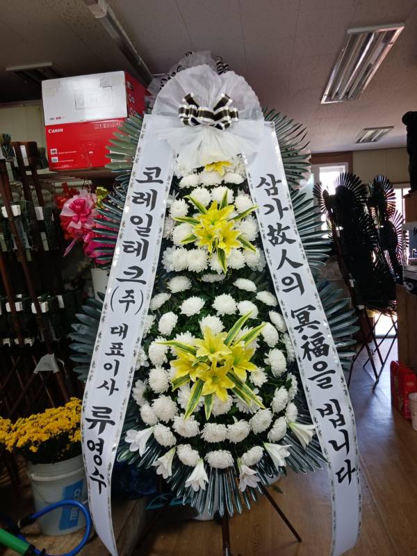 업로드 이미지