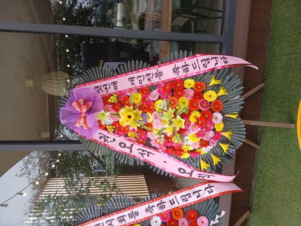 업로드 이미지