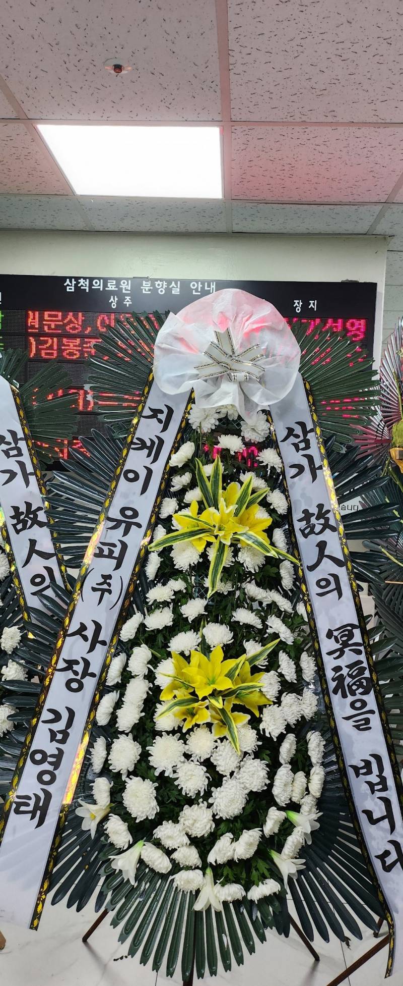 업로드 이미지
