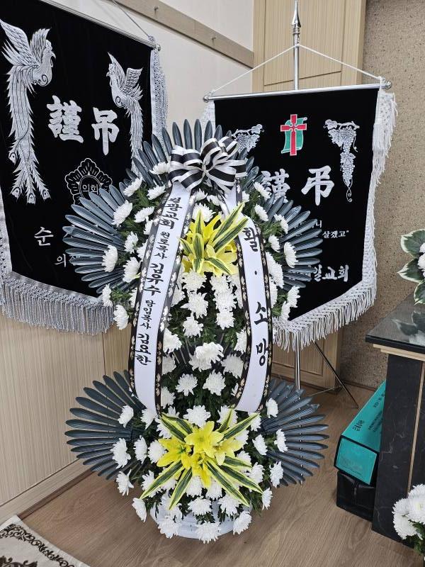 업로드 이미지