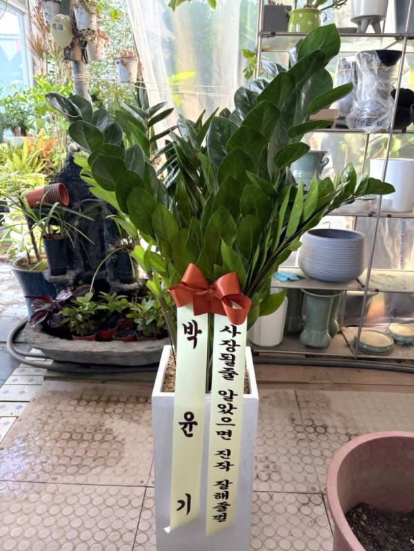 배송사진