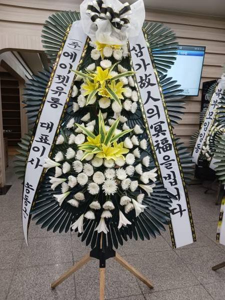 업로드 이미지