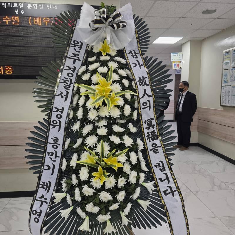 업로드 이미지
