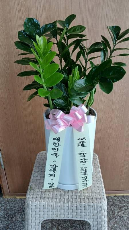 업로드 이미지