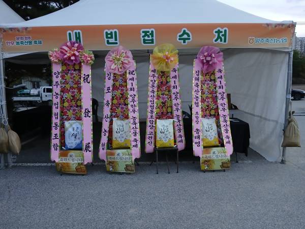 업로드 이미지