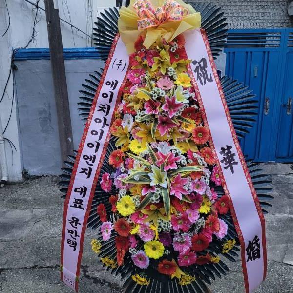 업로드 이미지