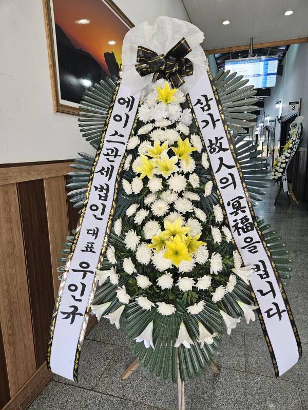 업로드 이미지