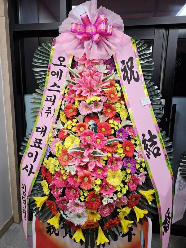 업로드 이미지