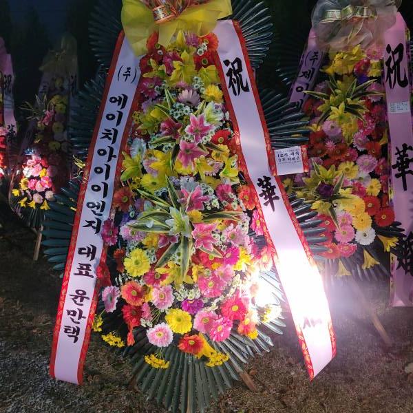 업로드 이미지