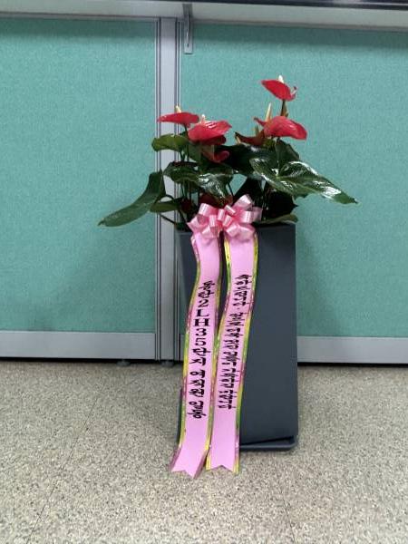 업로드 이미지