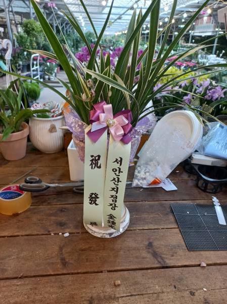 업로드 이미지