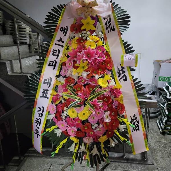 업로드 이미지
