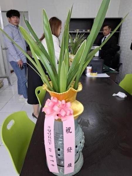 업로드 이미지