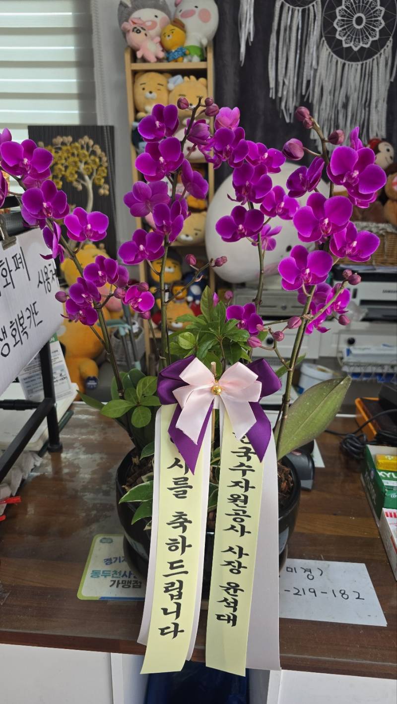 업로드 이미지
