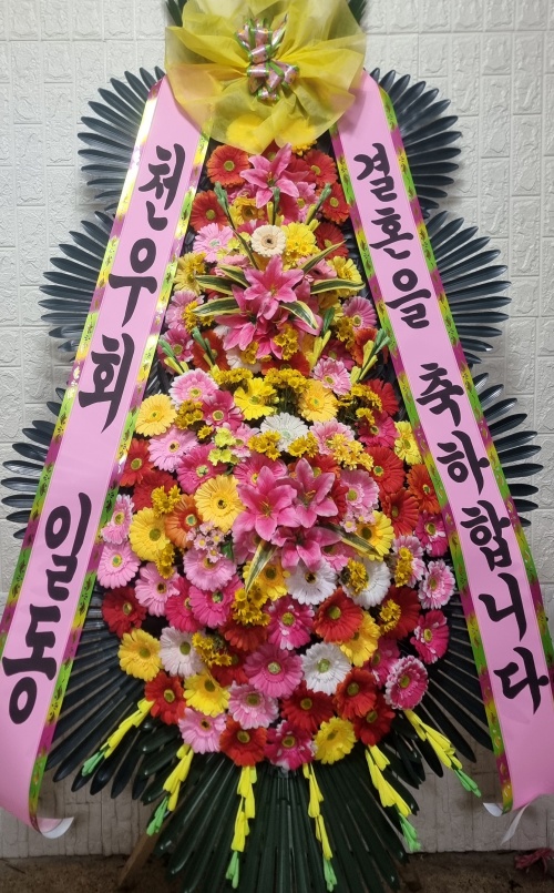 업로드 이미지