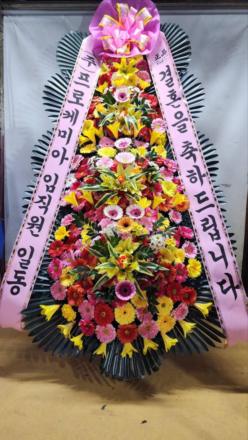 업로드 이미지
