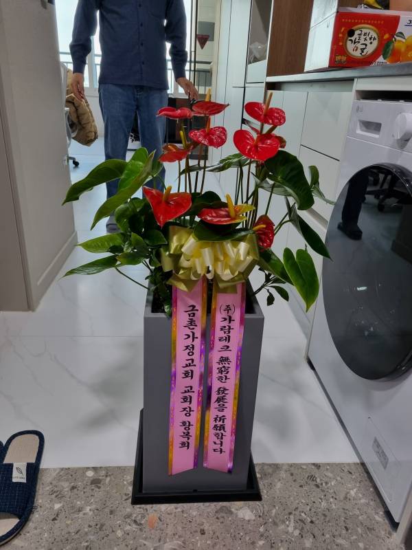 업로드 이미지