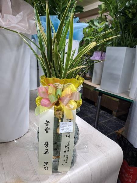 업로드 이미지