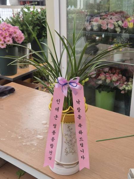 업로드 이미지