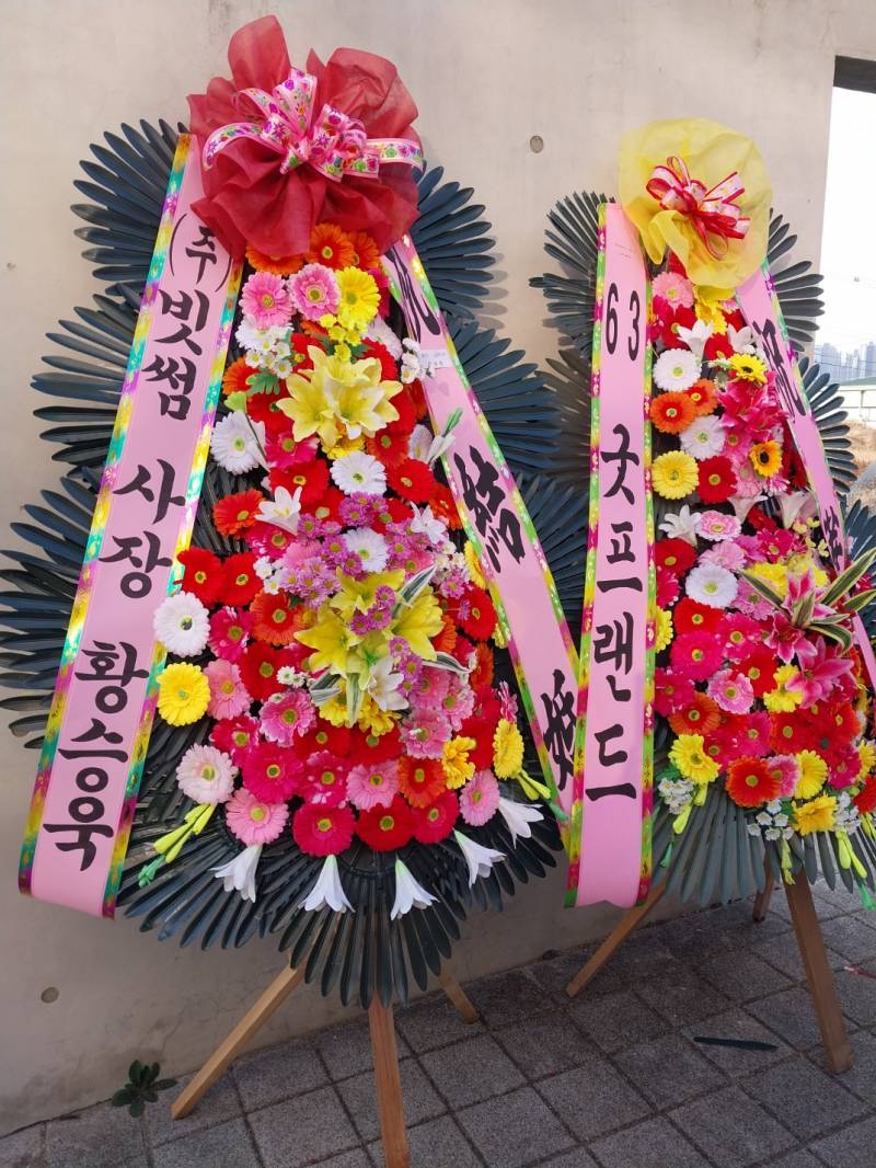 업로드 이미지