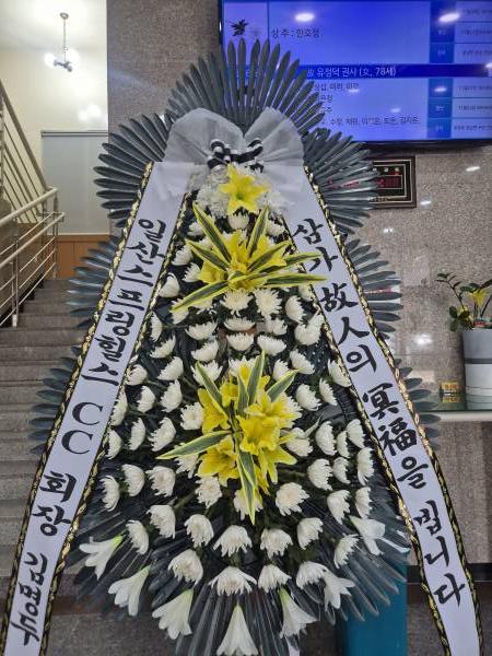 업로드 이미지