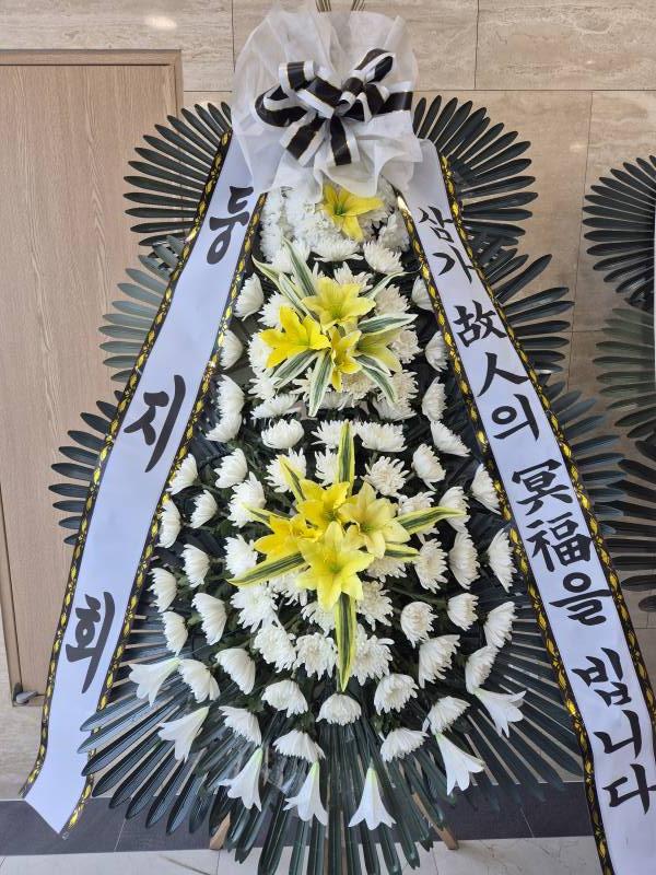 업로드 이미지