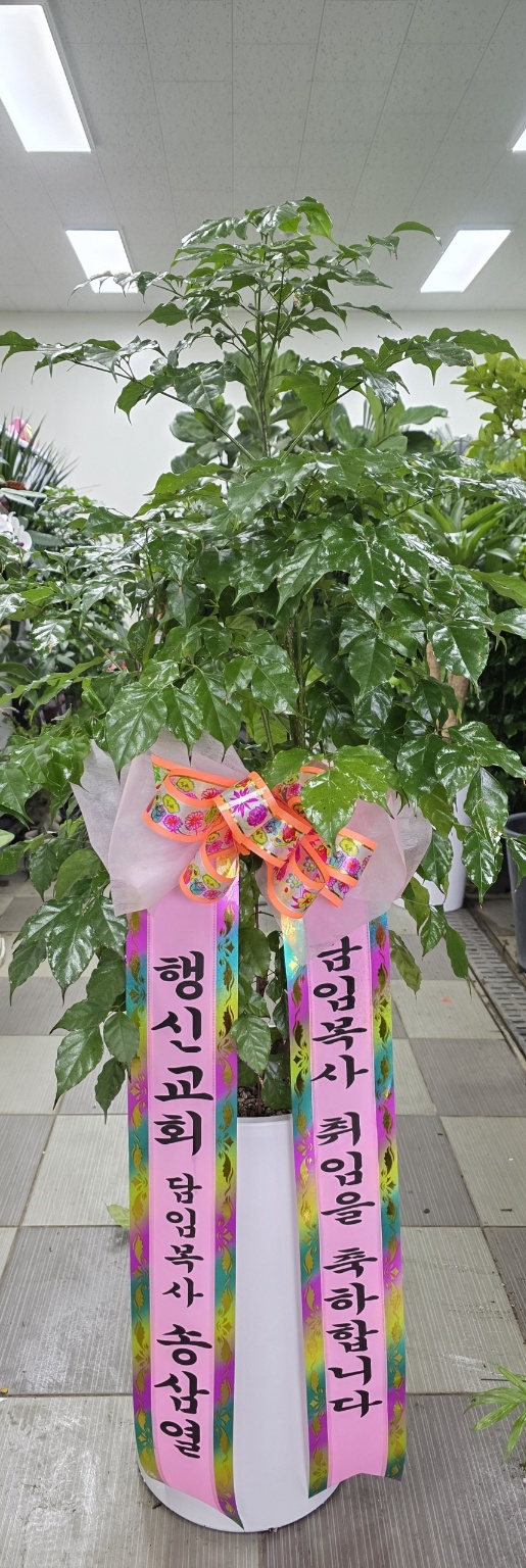 업로드 이미지