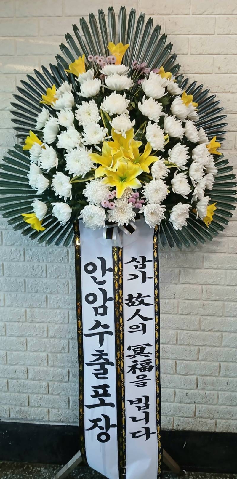 업로드 이미지