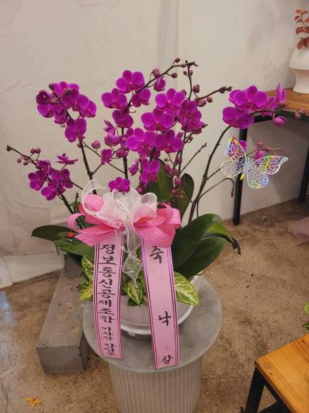 업로드 이미지