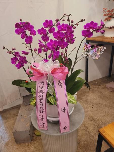 업로드 이미지