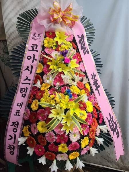 업로드 이미지