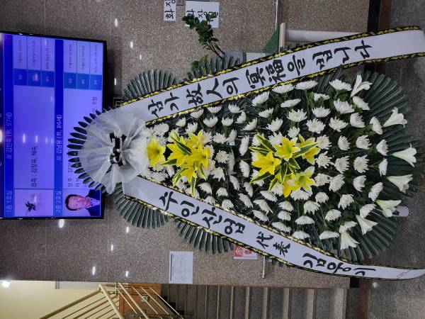 업로드 이미지