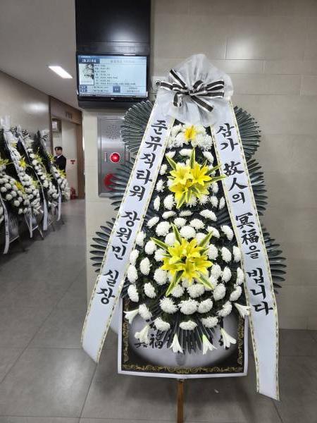 업로드 이미지
