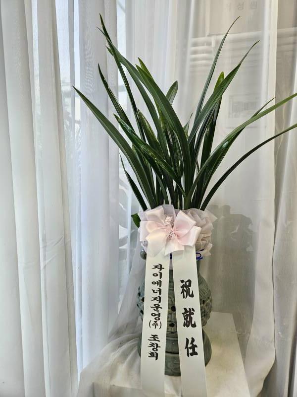 업로드 이미지