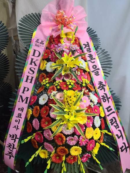 업로드 이미지